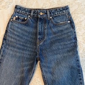 Brand New GANNI Flare Blue Jeans